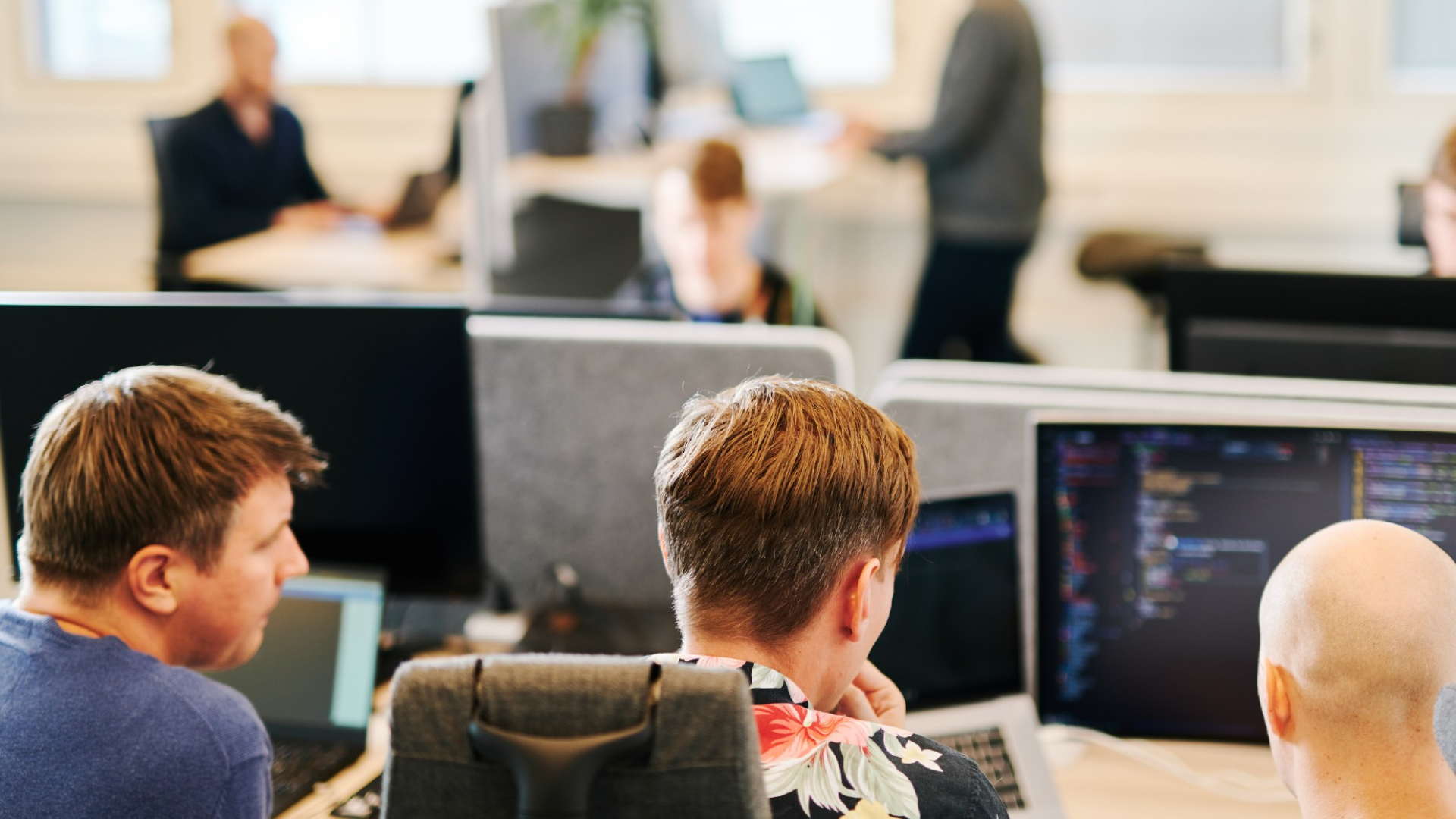 Compile-tiimi-Humbol