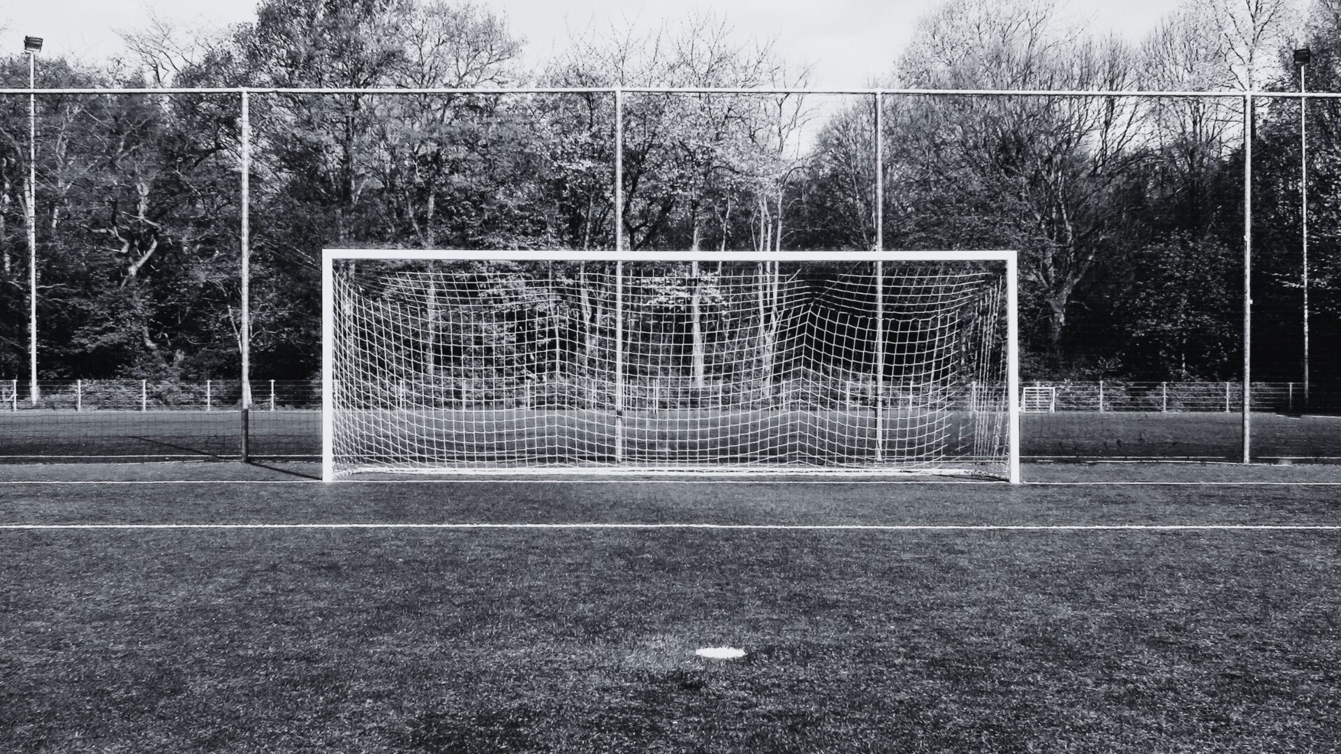 Grow your people and business with Humbol