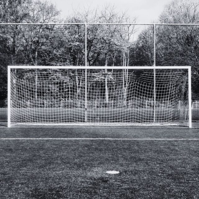 Grow your people and business with Humbol