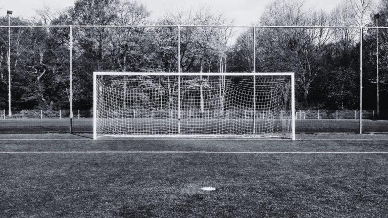 Grow your people and business with Humbol